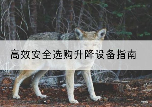 呼伦贝尔升降货梯厂家推荐-*安全选购升降设备指南