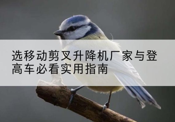 呼伦贝尔电动升降机厂家-选移动剪叉升降机厂家与登高车必看实用指南